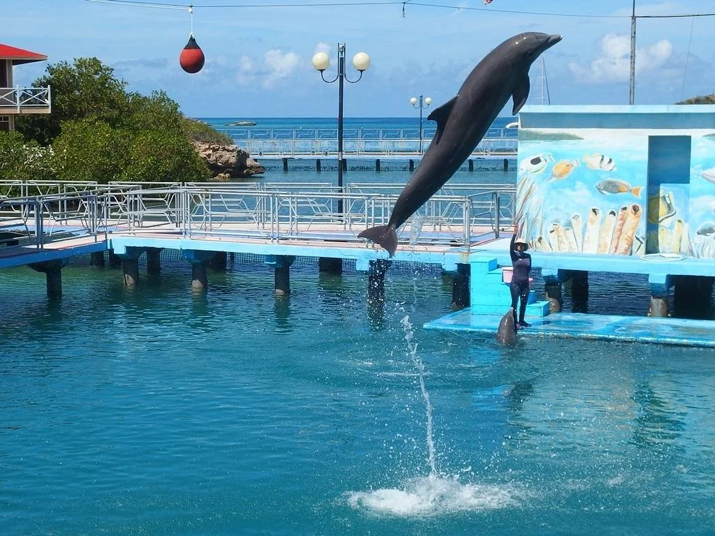 Bahia de Naranjo Nature Park