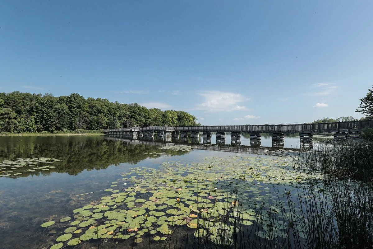 Island Lake Conservation Area