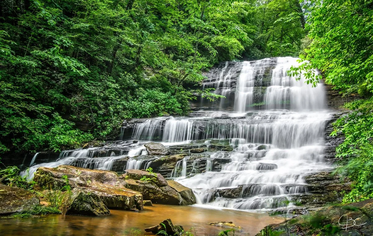 Pearson's Falls Glen