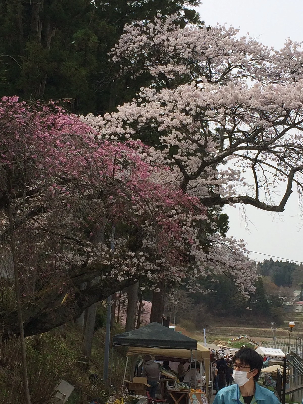 Niidahonke