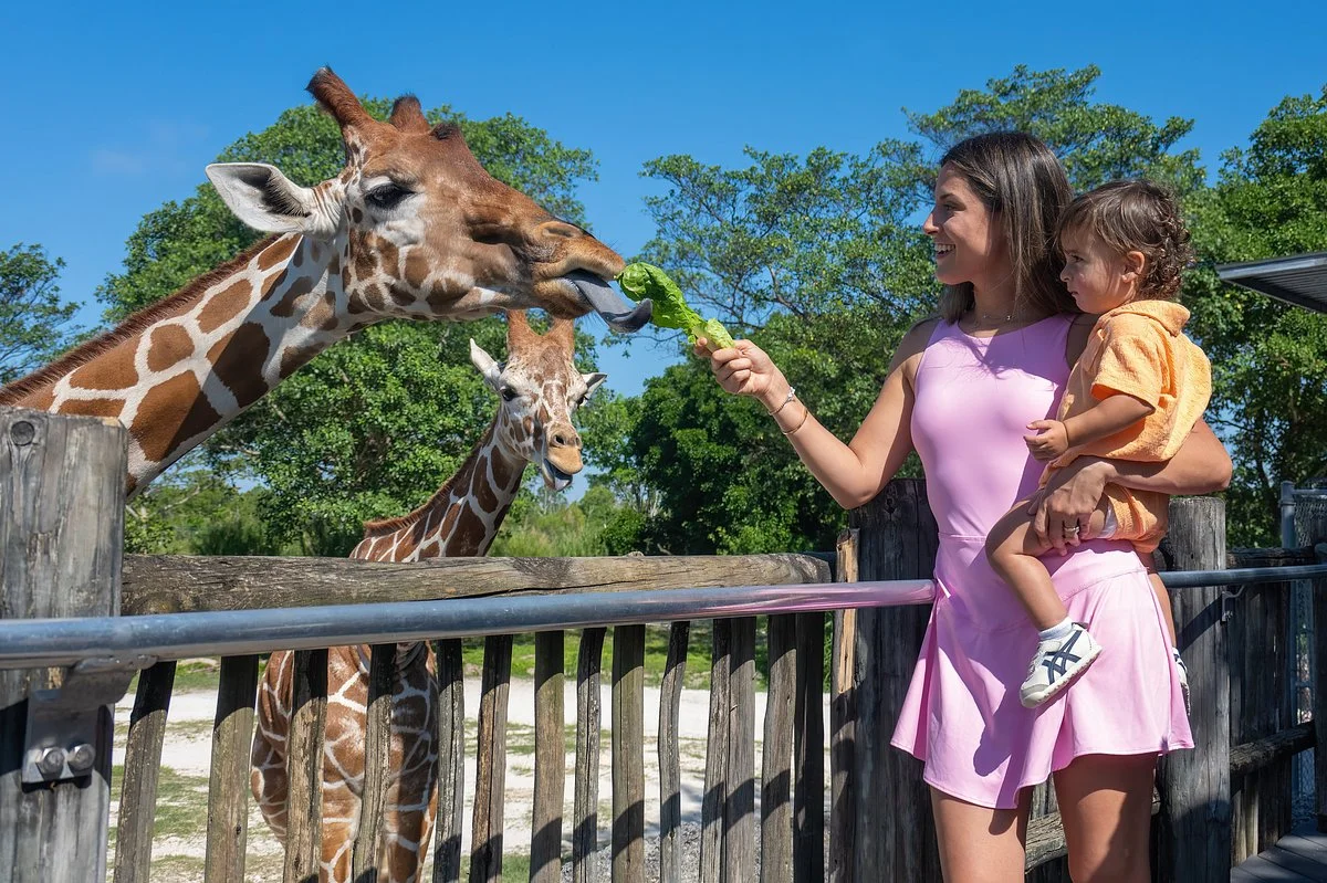 Zoo Miami