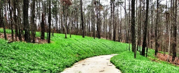 Eastside Trail