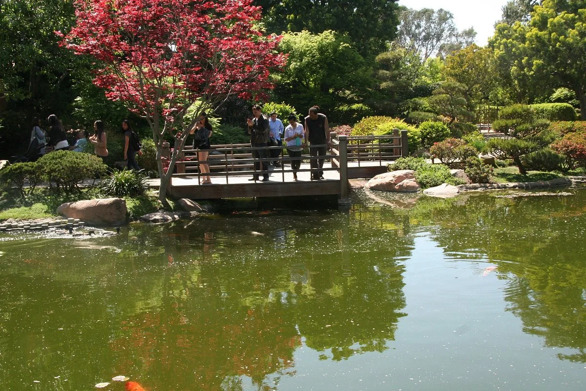 Earl Burns Miller Japanese Garden