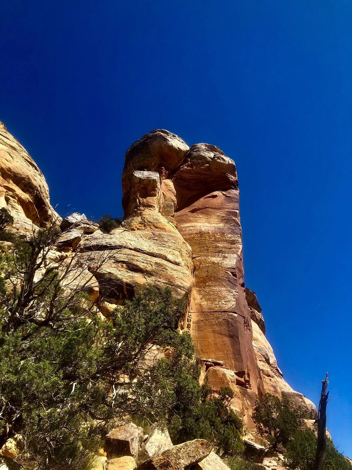 McConkie Ranch