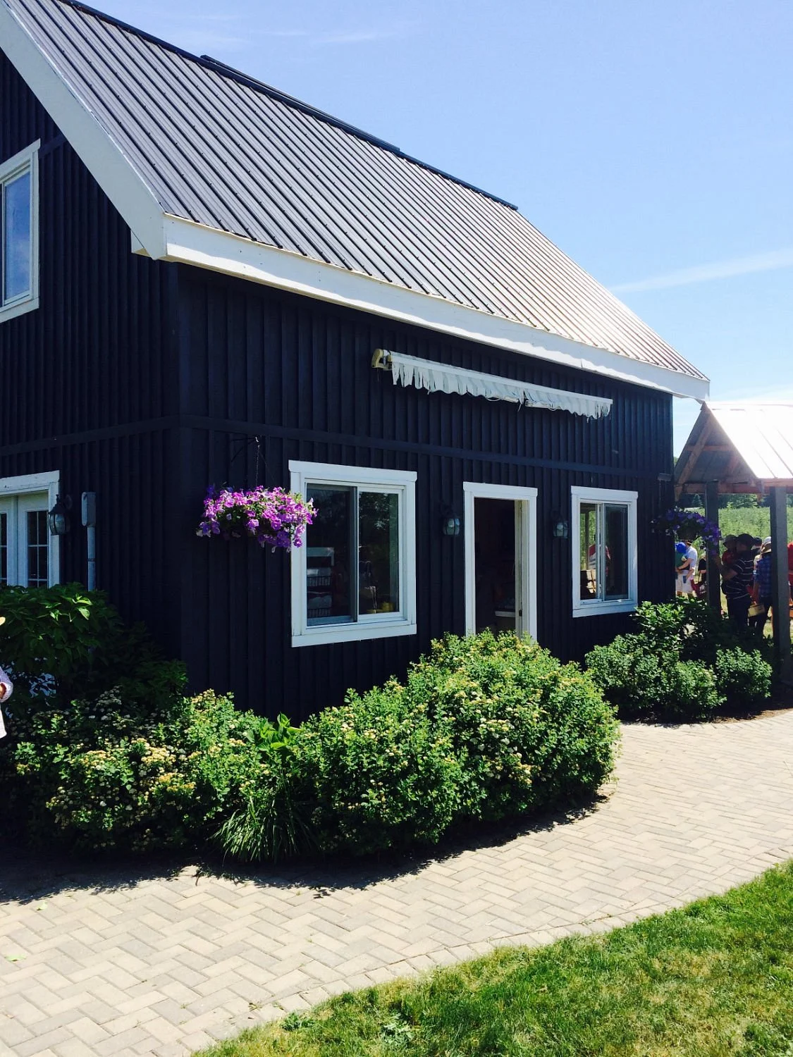 Organics Family Farm