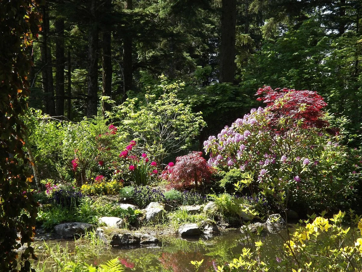 Glacier Gardens Rainforest Adventure
