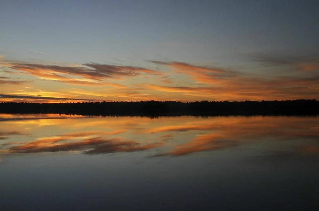 Cobscook Bay