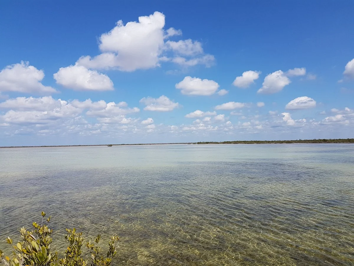 Las Salinas