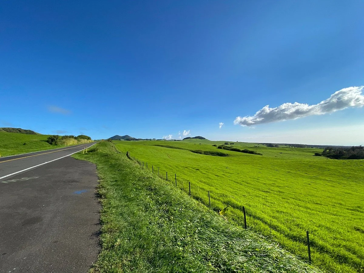 Kohala Mountain Road