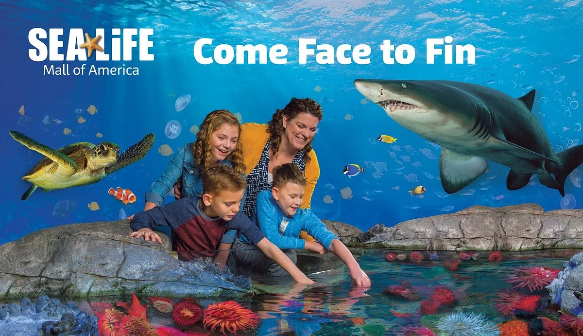 SEA LIFE at Mall of America
