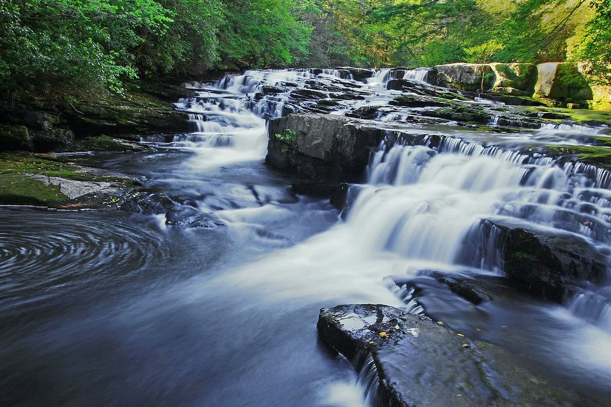 Savage Gulf State Park and Natural Area