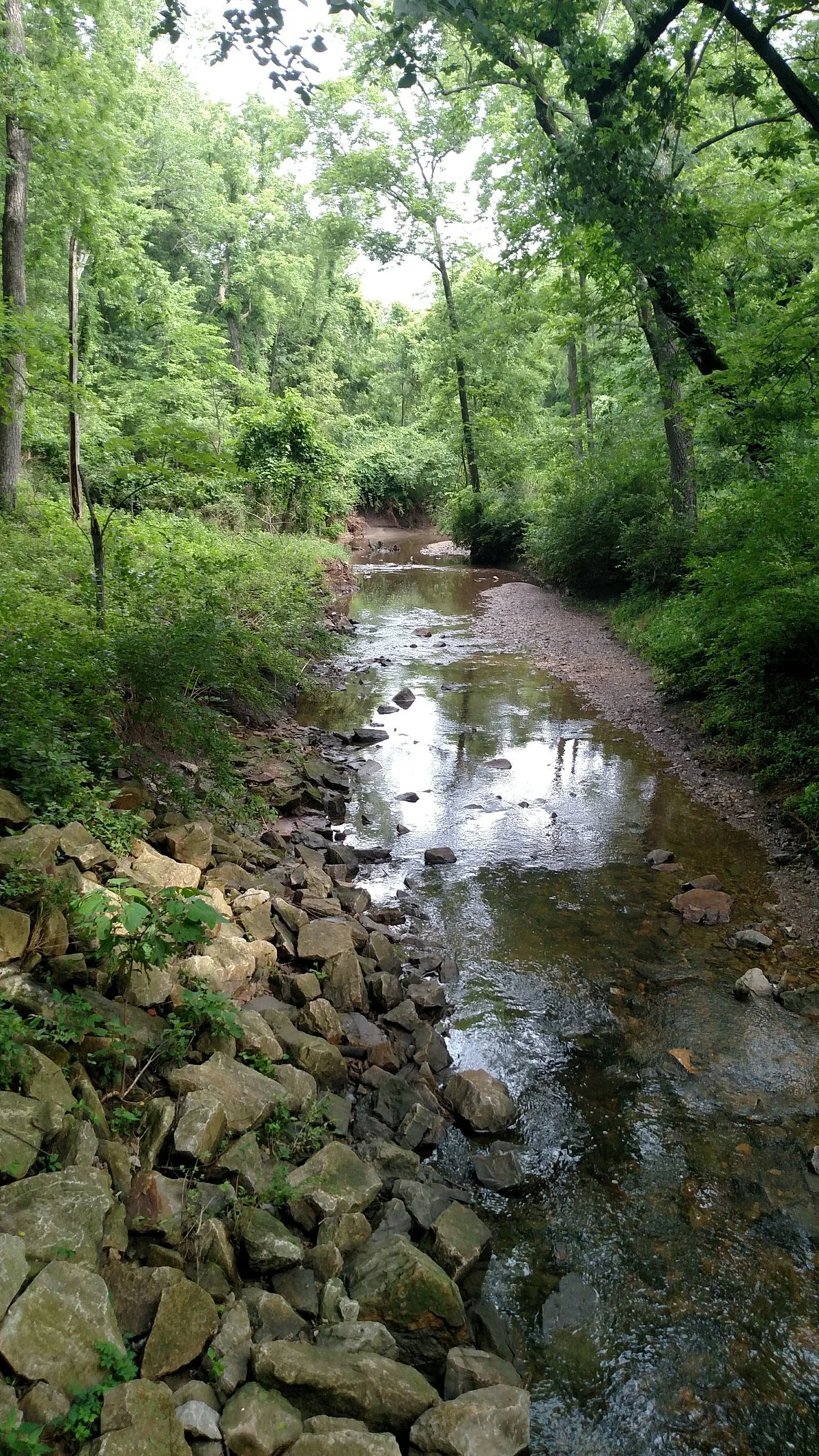 Ernie Miller Nature Center