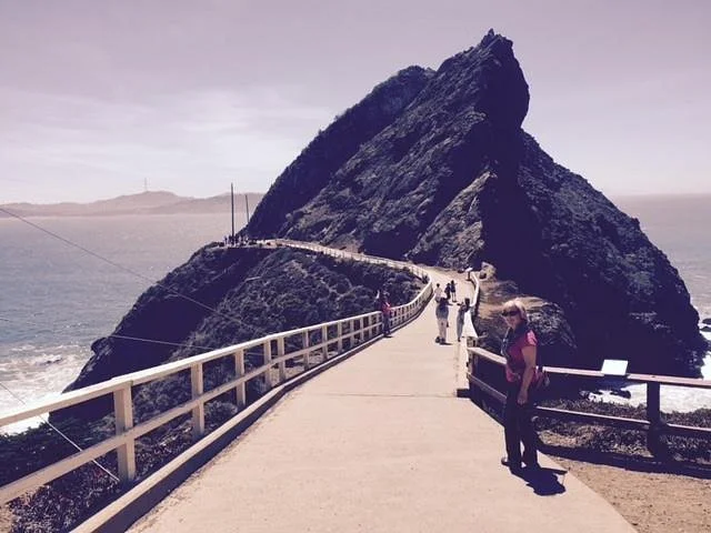The Marine Mammal Center