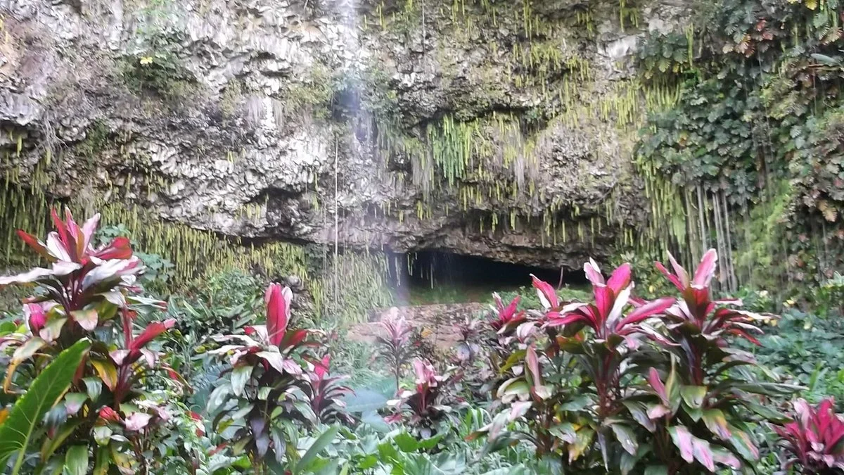 Fern Grotto