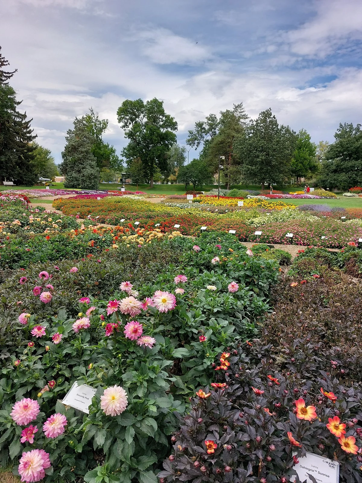 Annual Flower Trial Garden