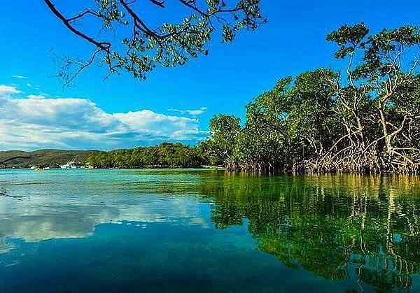 Bosque Estatal de Guánica