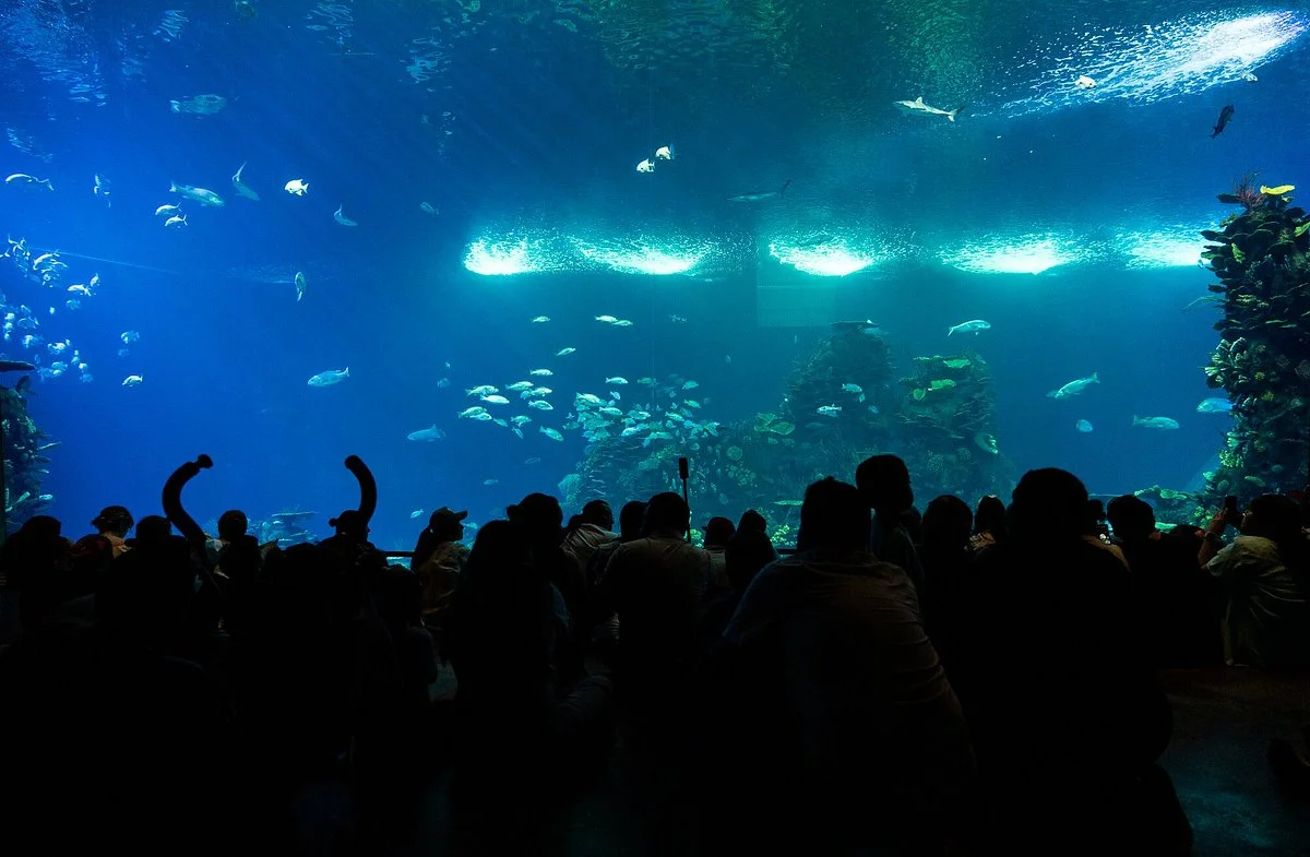 Acuario Mazatlan