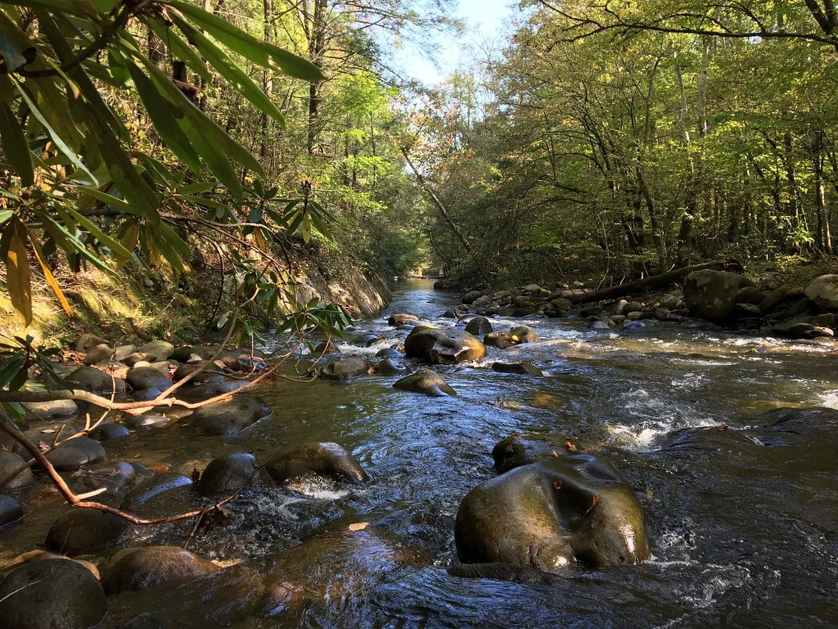 Gatlinburg Trail