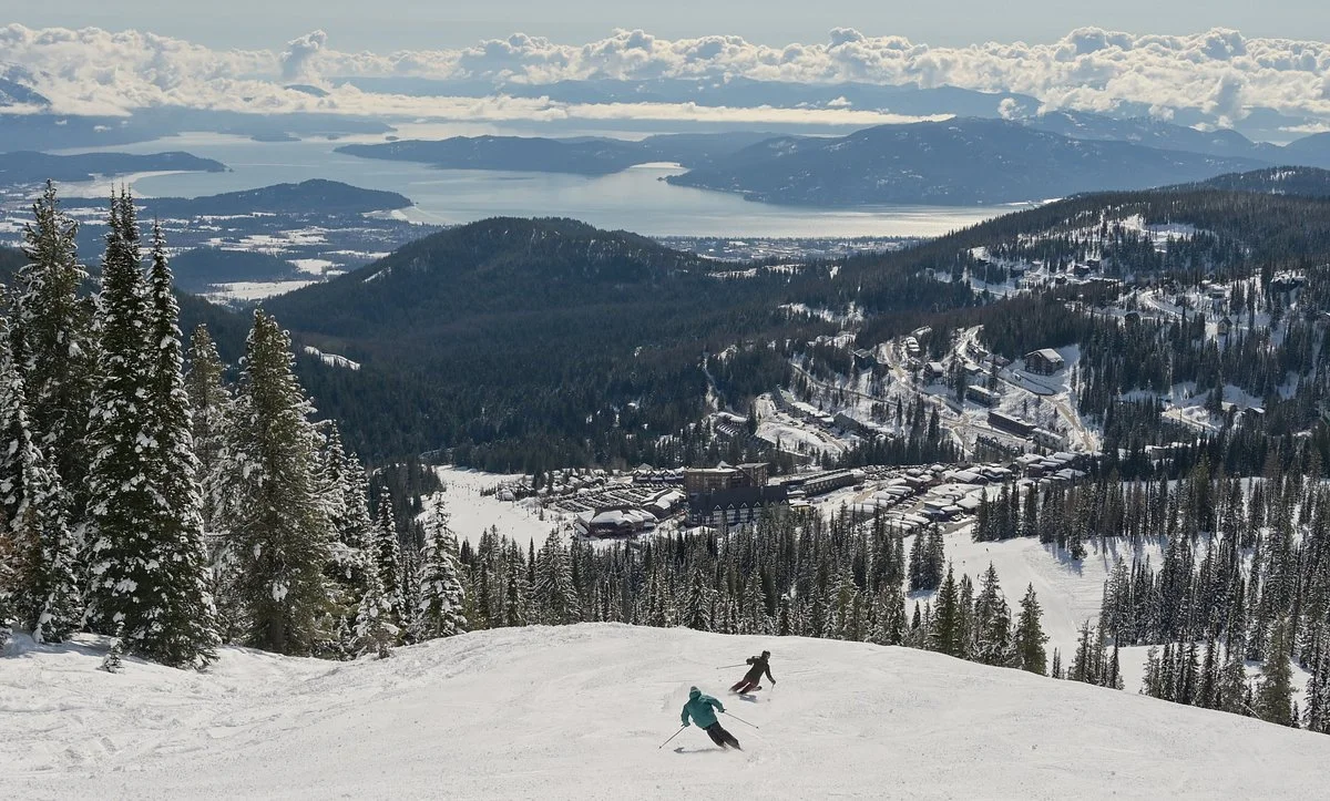 Schweitzer