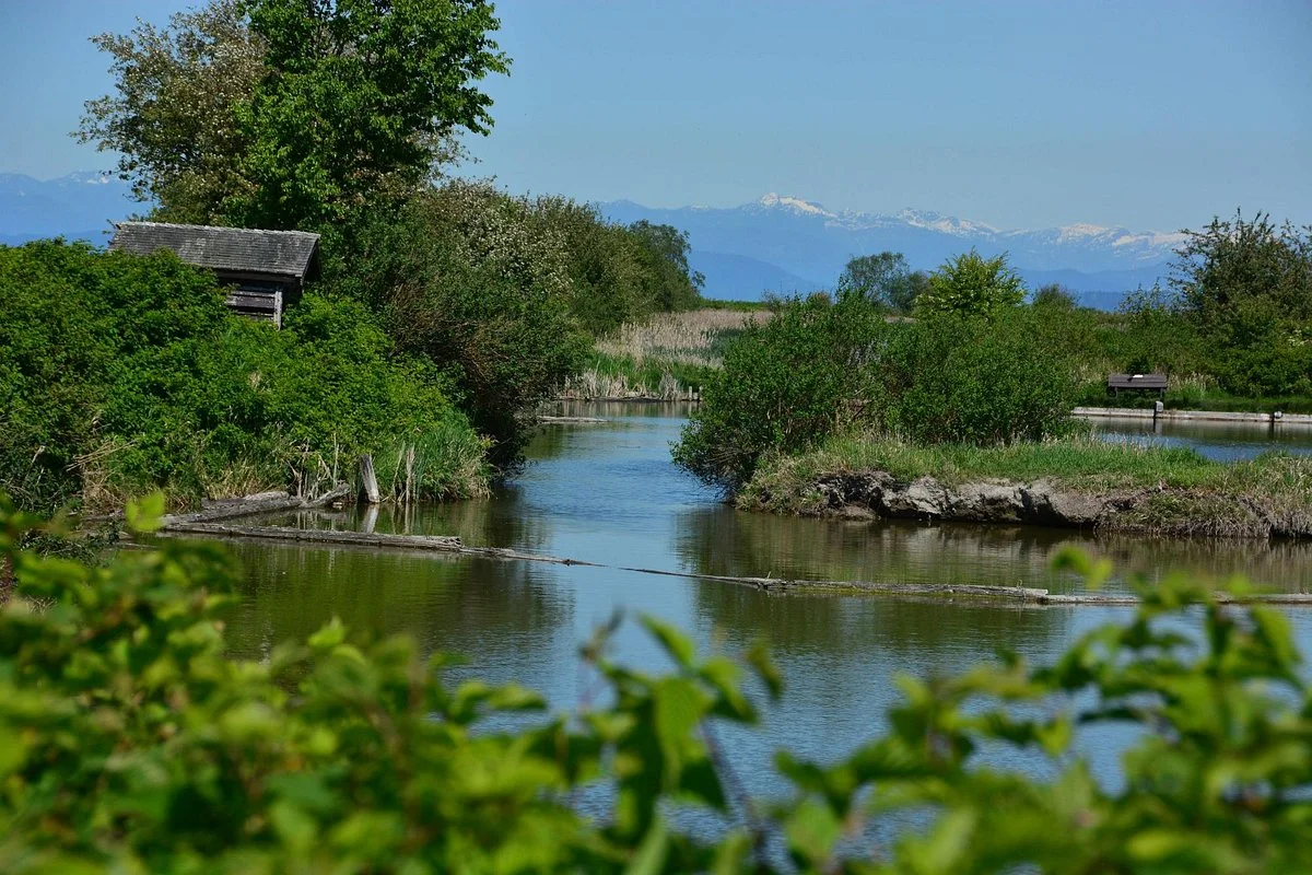 George C. Reifel Migratory Bird Sanctuary