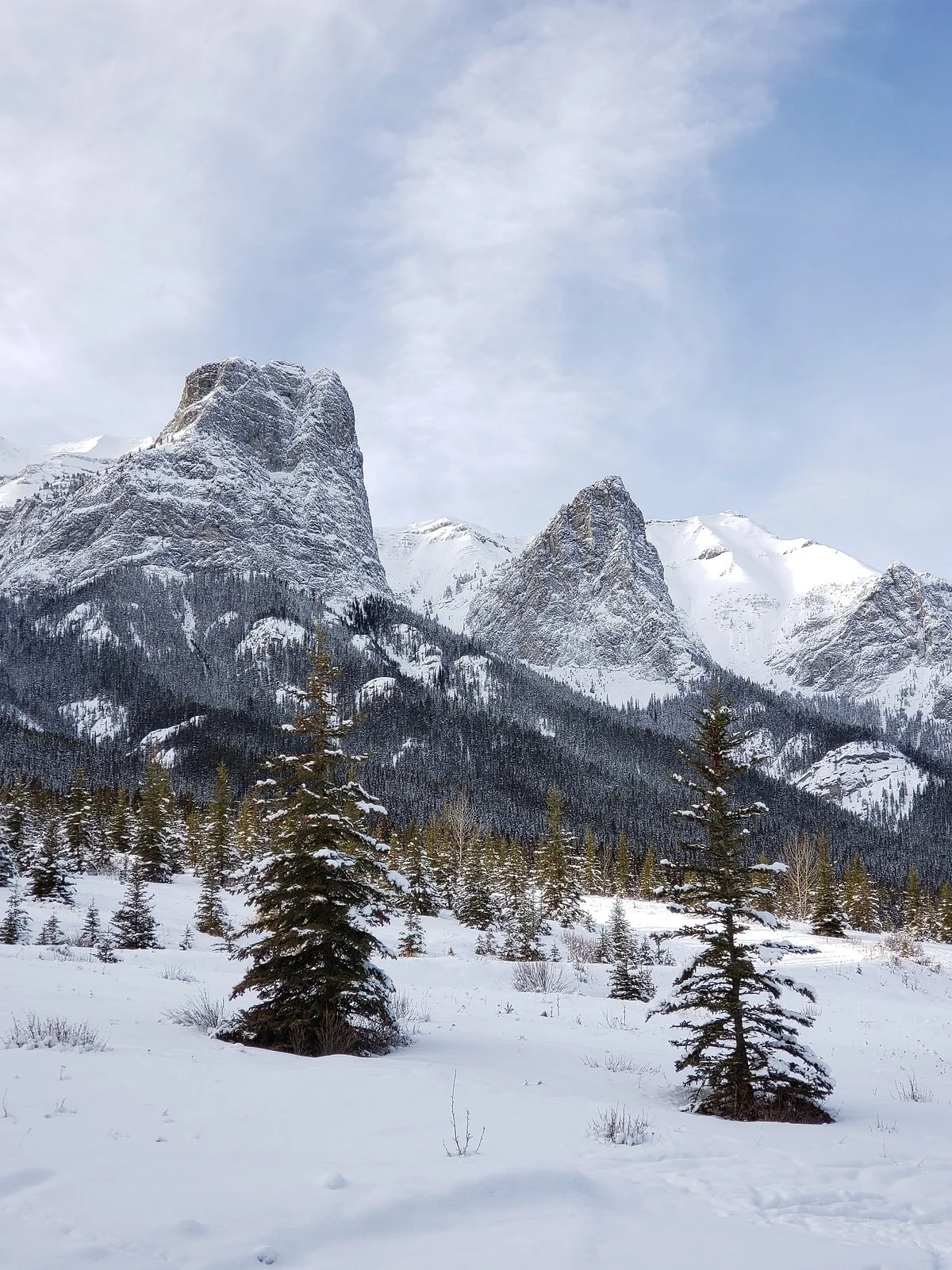 Canmore Nordic Centre Provincial Park