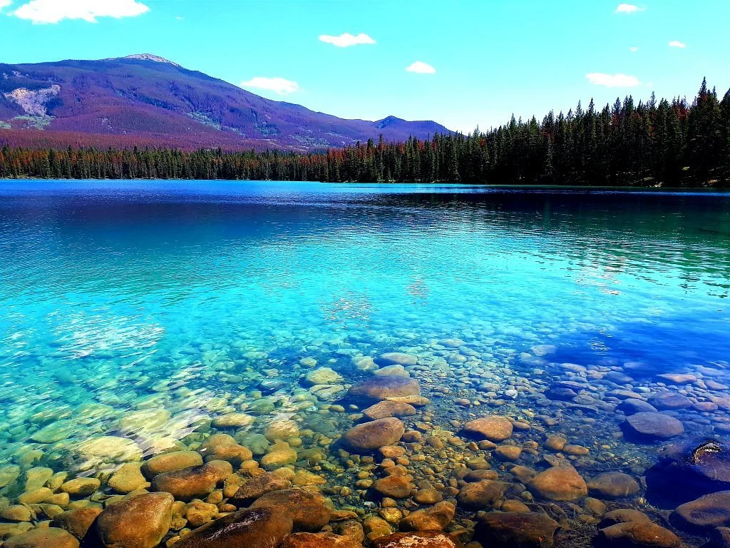 Annette Lake