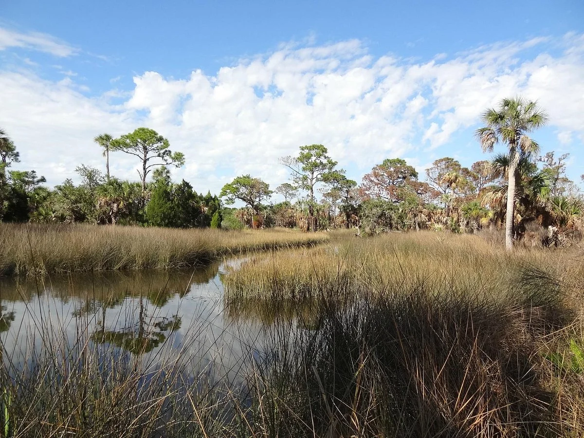 Werner-Boyce Salt Springs State Park