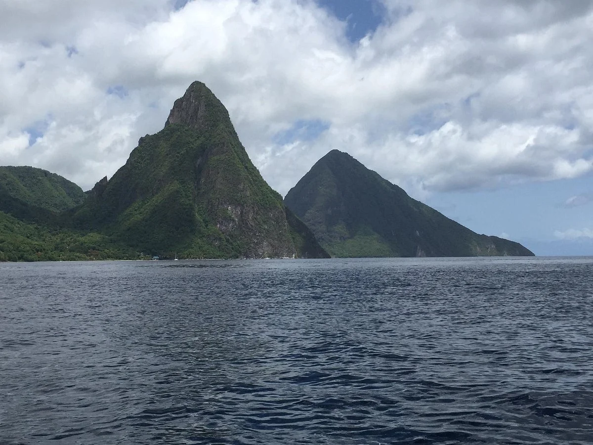 Bayside Marine Tours and Services