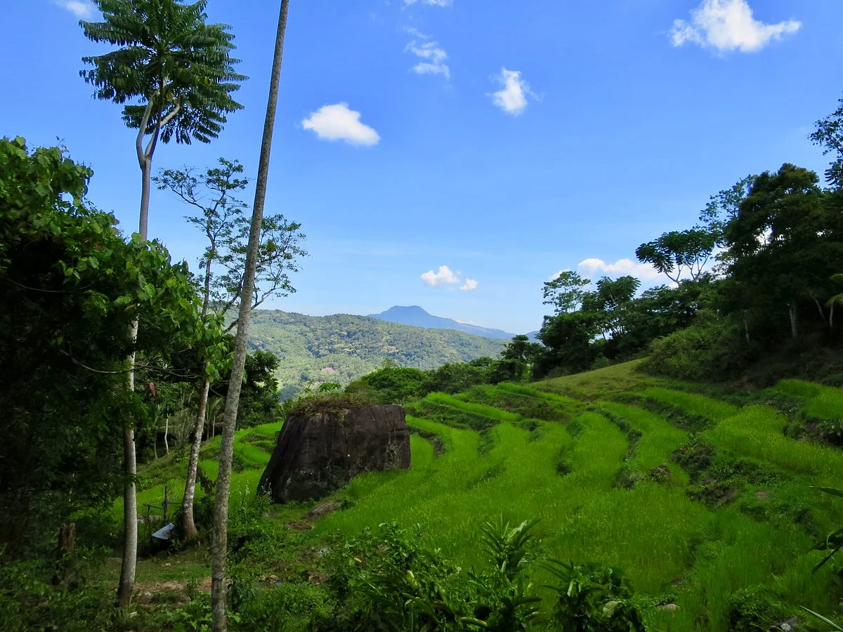 Marinduque Wildlife Sanctuary
