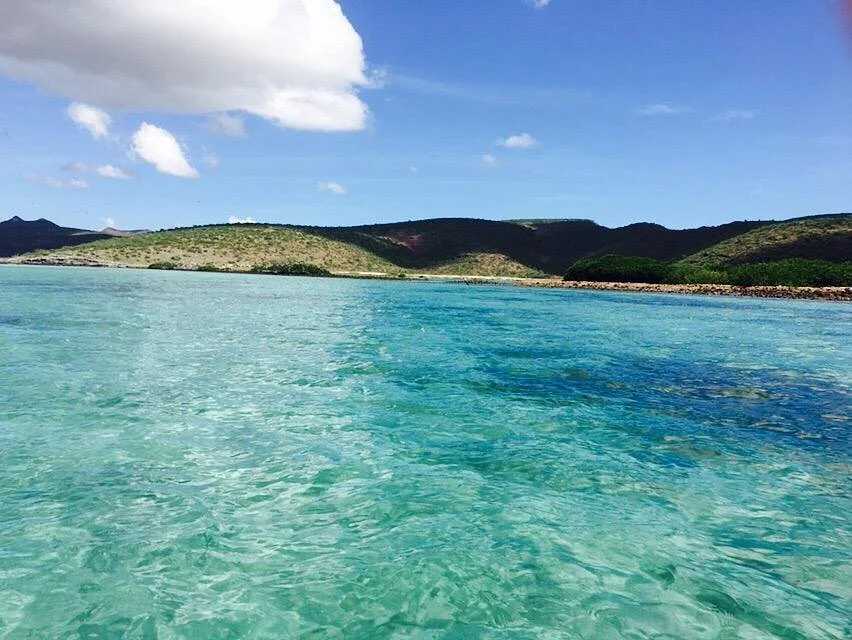 Playa El Tecolote (Tecolote Beach)