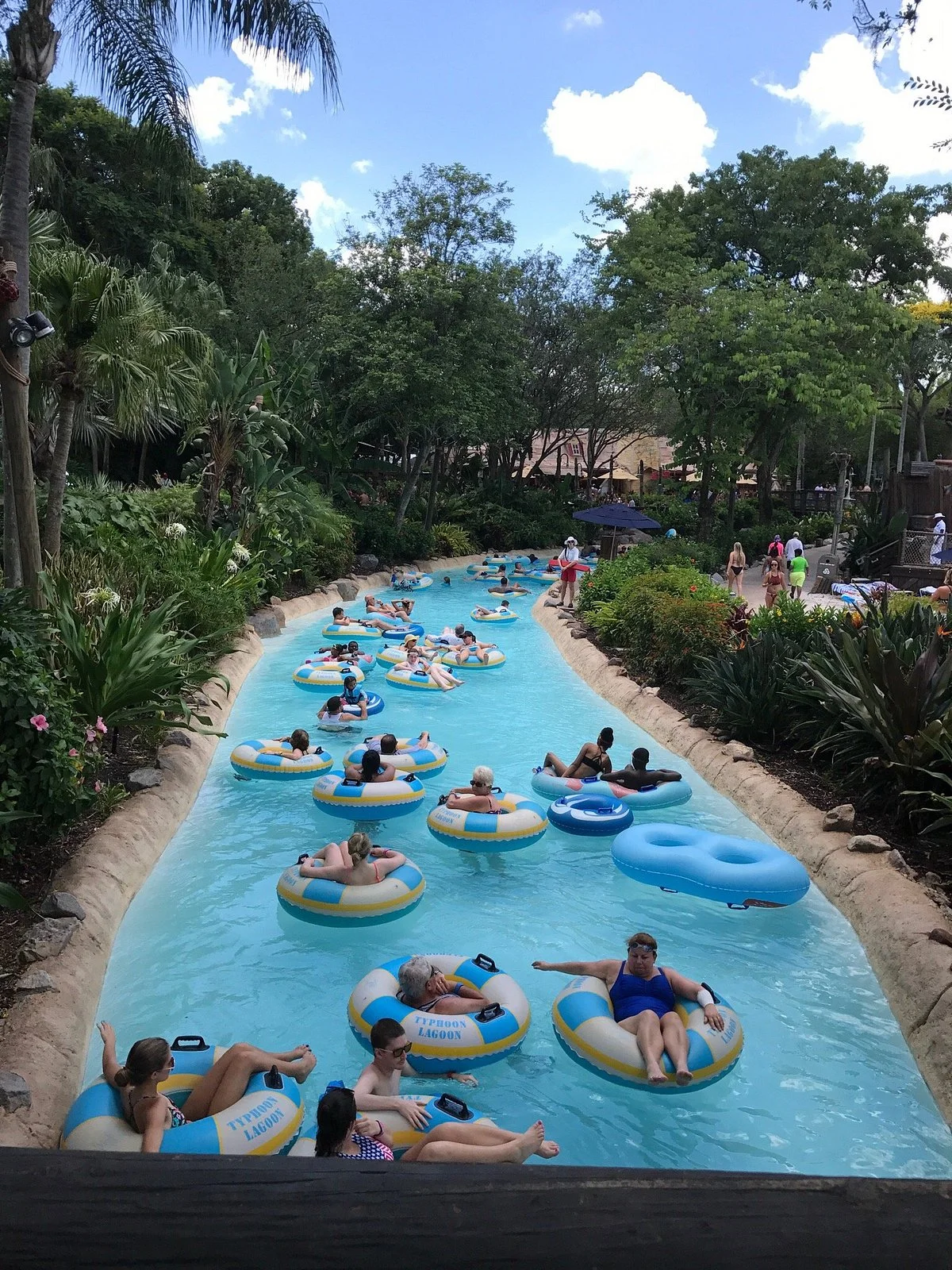 Disney's Typhoon Lagoon Water Park