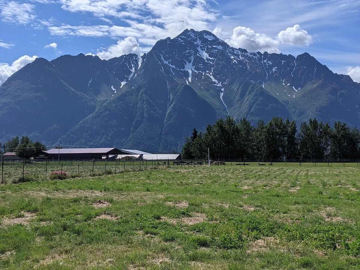 Reindeer Farm