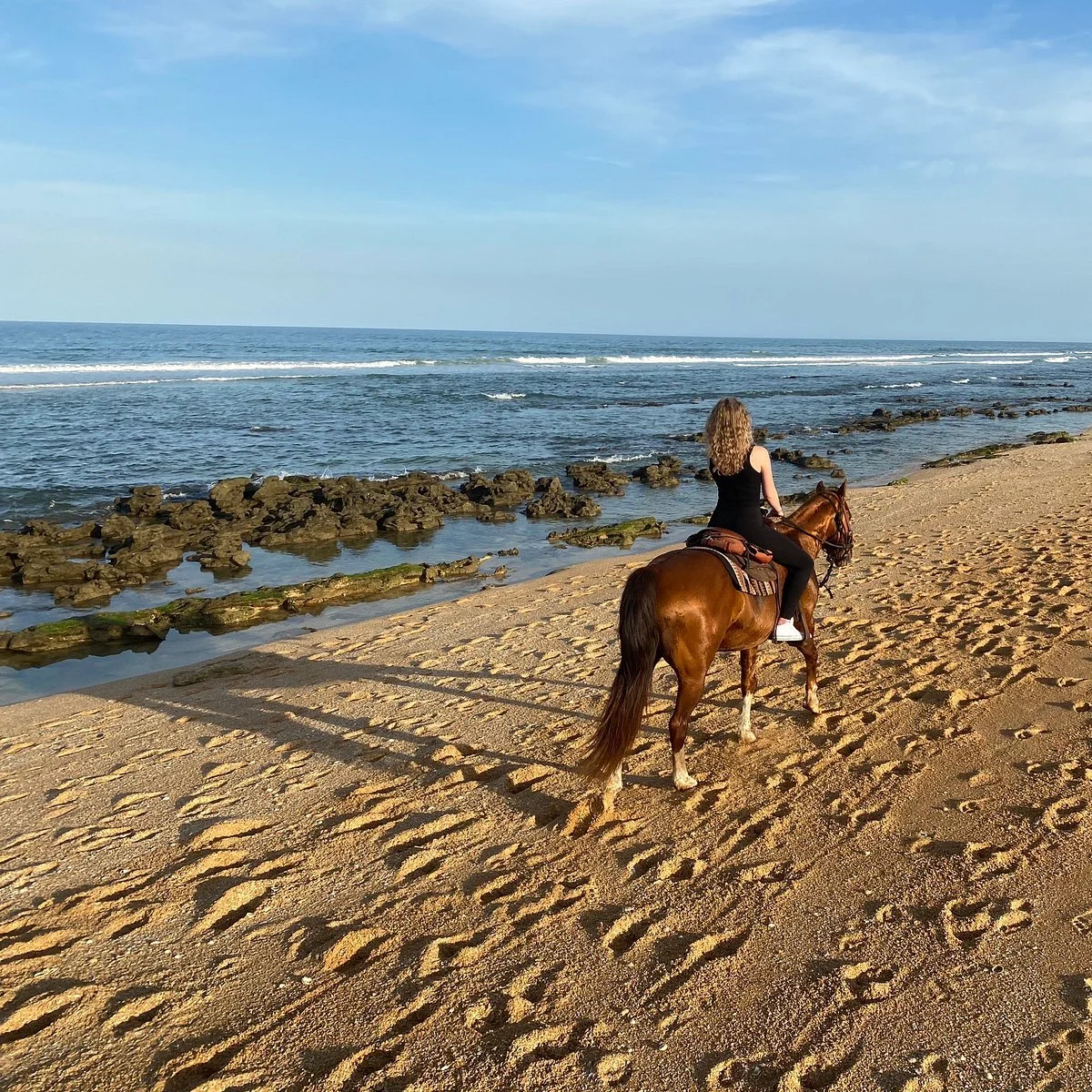 Equestrian Adventures of Florida
