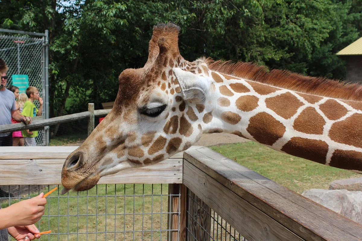 Wildwood Wildlife Park & Nature Center