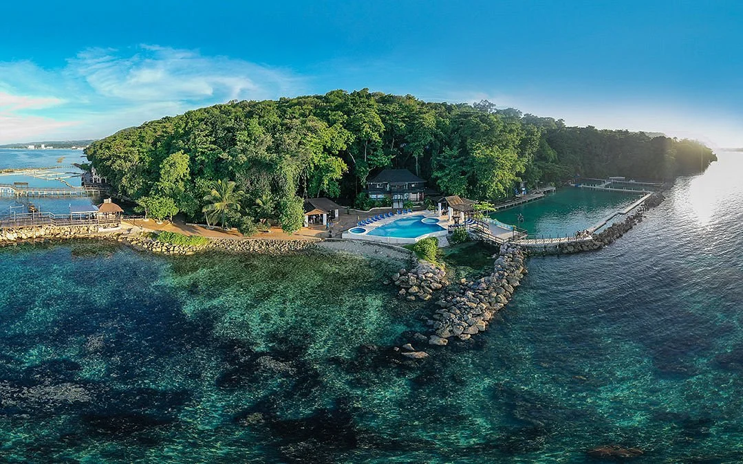 Dolphin Cove Ocho Rios