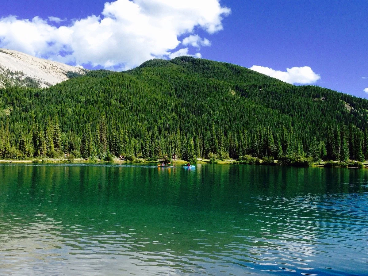 Forget Me Not Pond