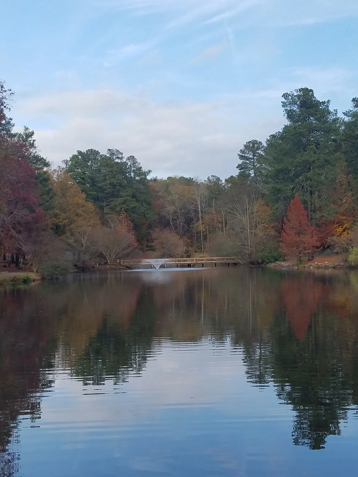 Bear Hollow Zoo