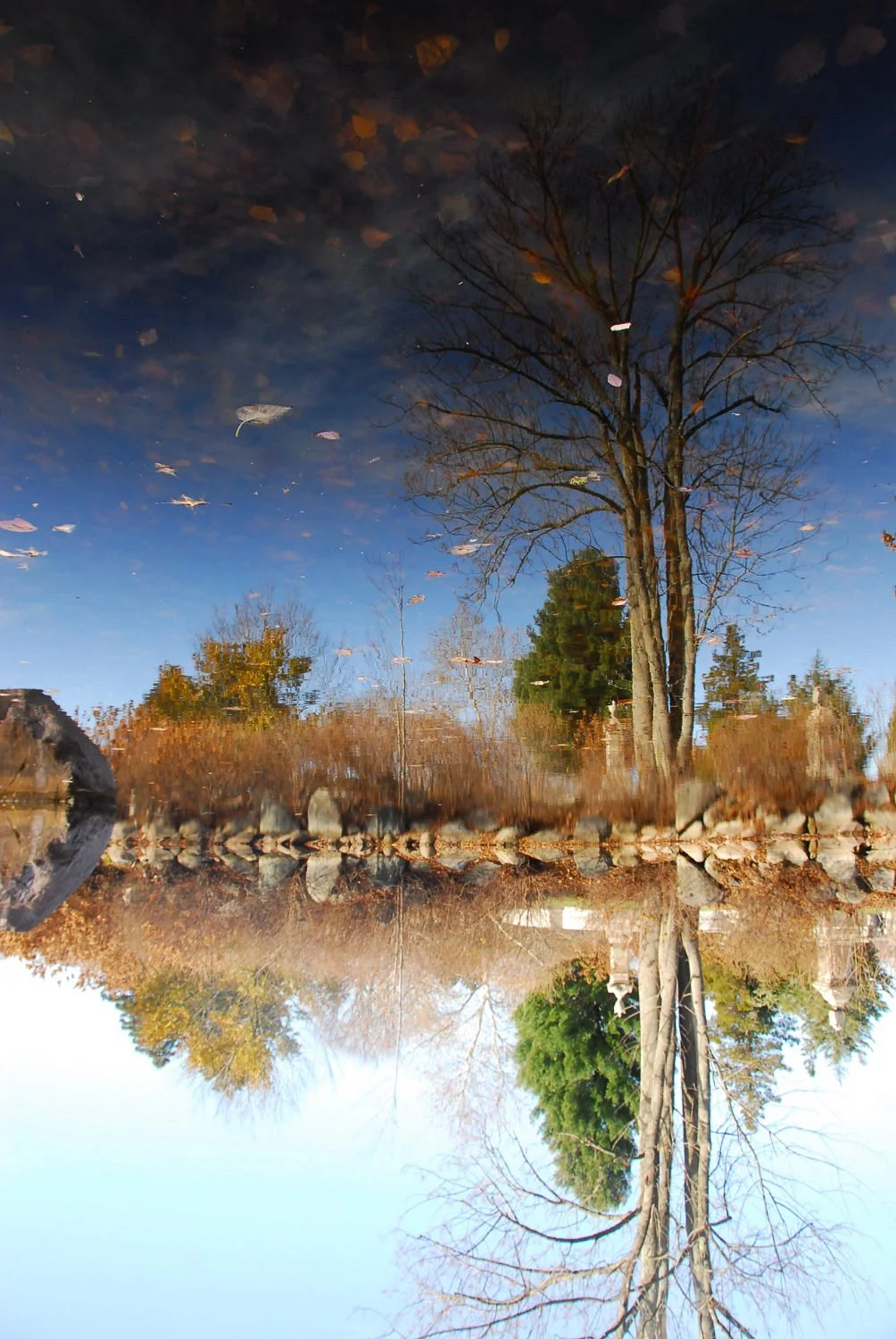 Swan Point Cemetery