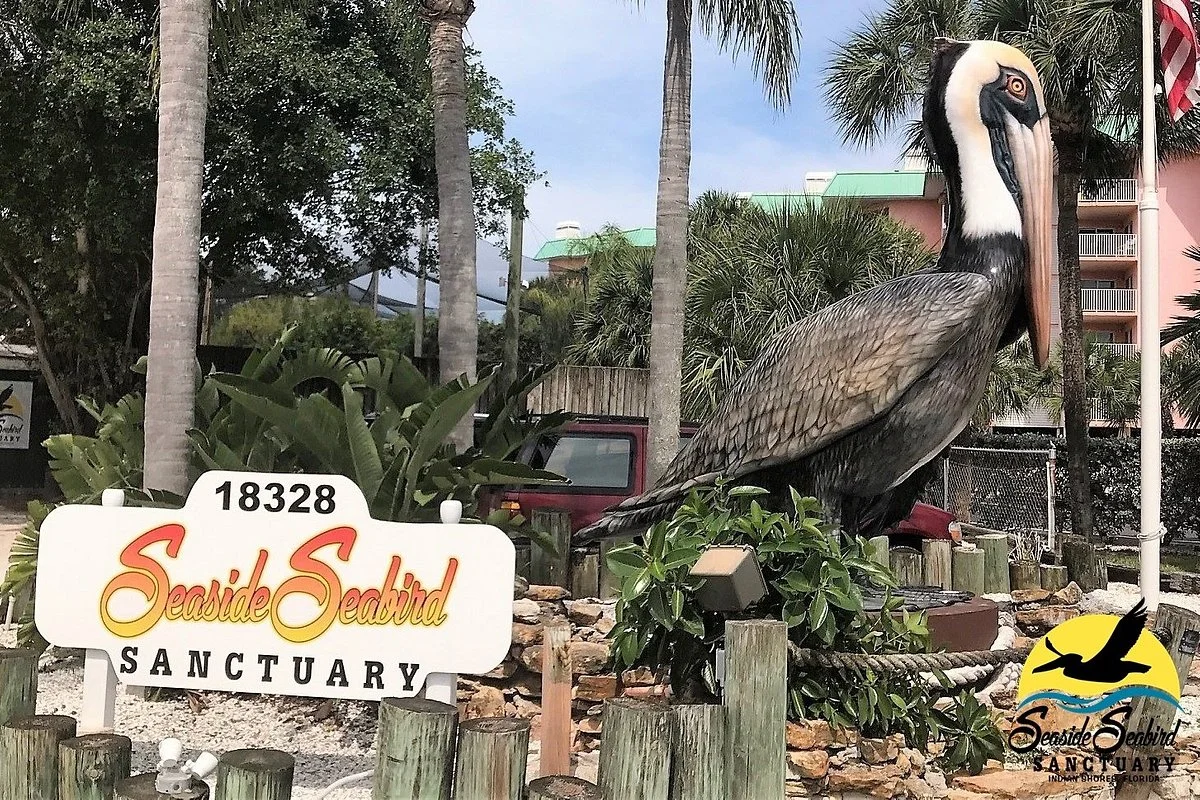 Seaside Seabird Sanctuary