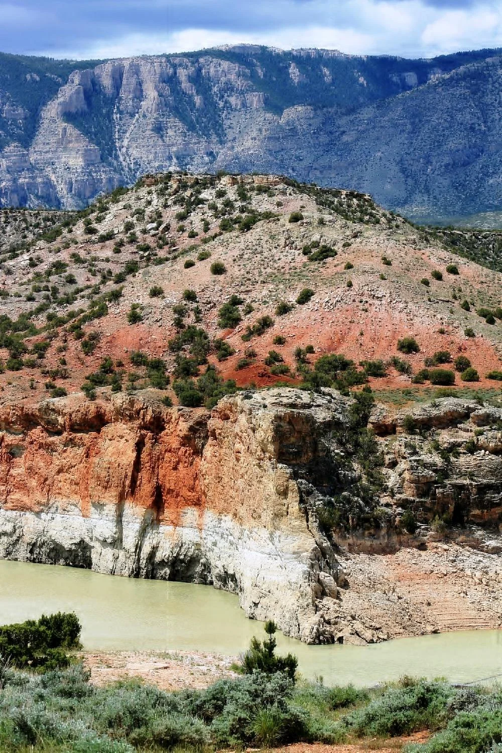 Pryor Mountain Wild Horse Range