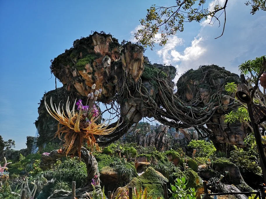 Avatar Flight of Passage