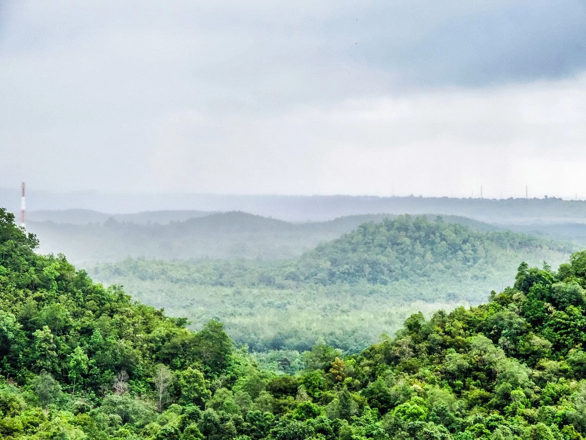Sultan Adam Forest Park