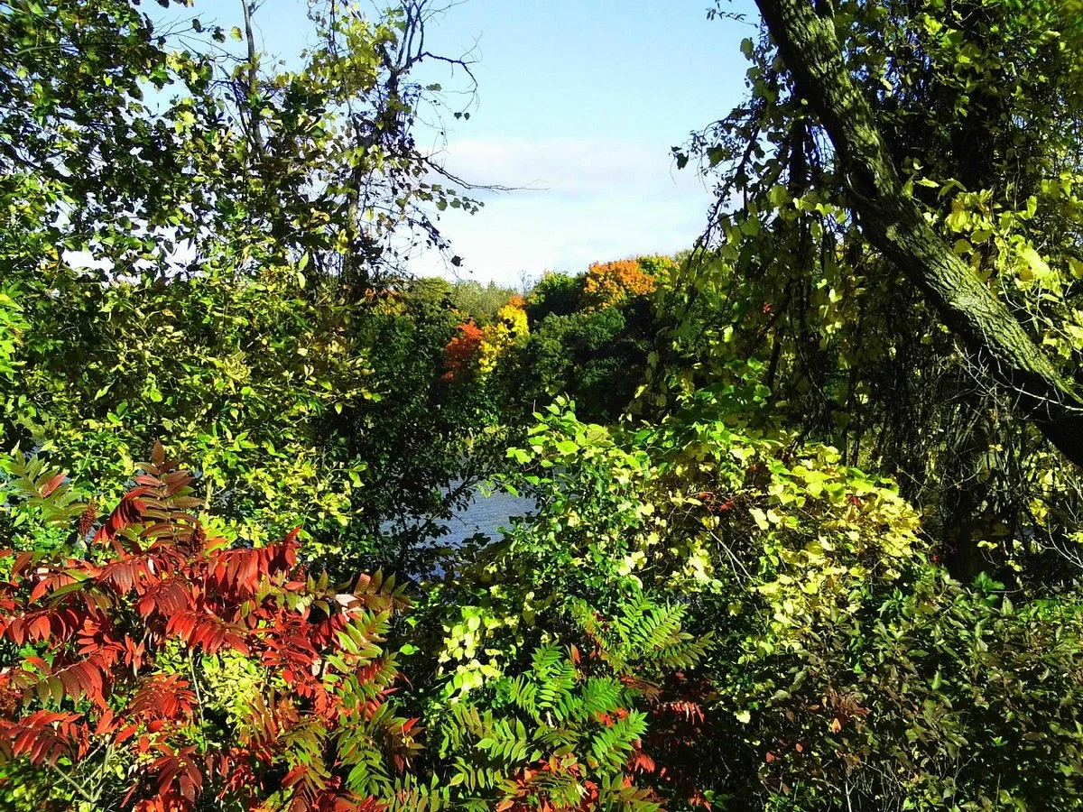 Elm Creek Park Reserve