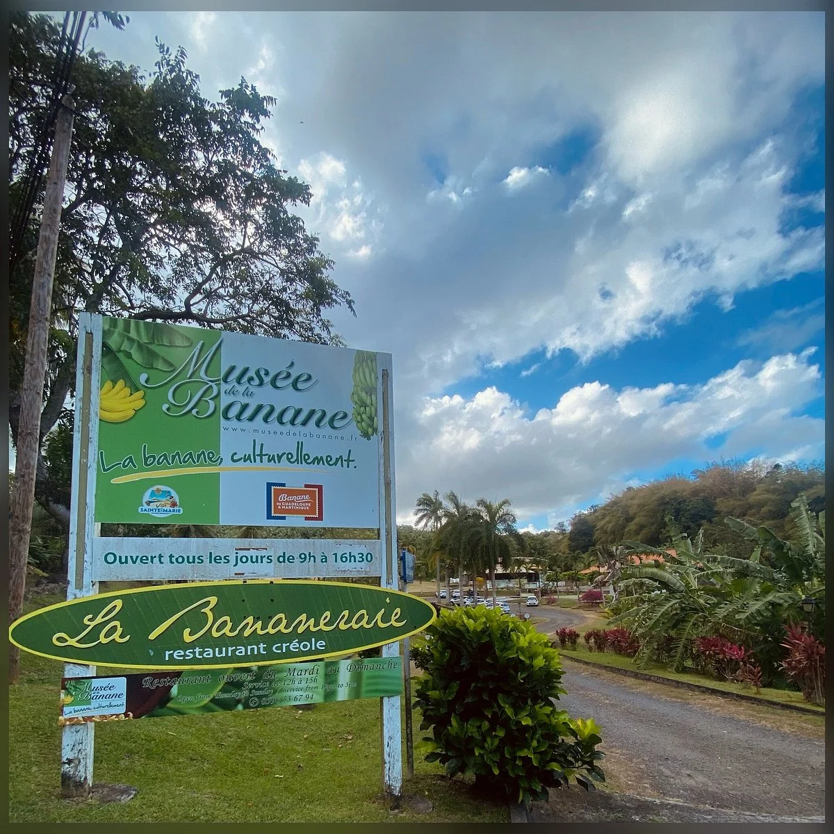 Banana Museum (Le Musee de la Banane)