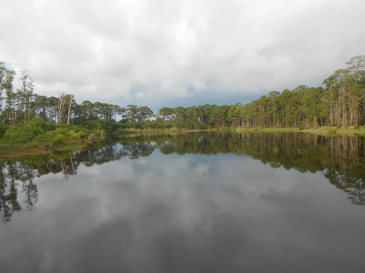 Dauphin Island Audubon Bird Sanctuary