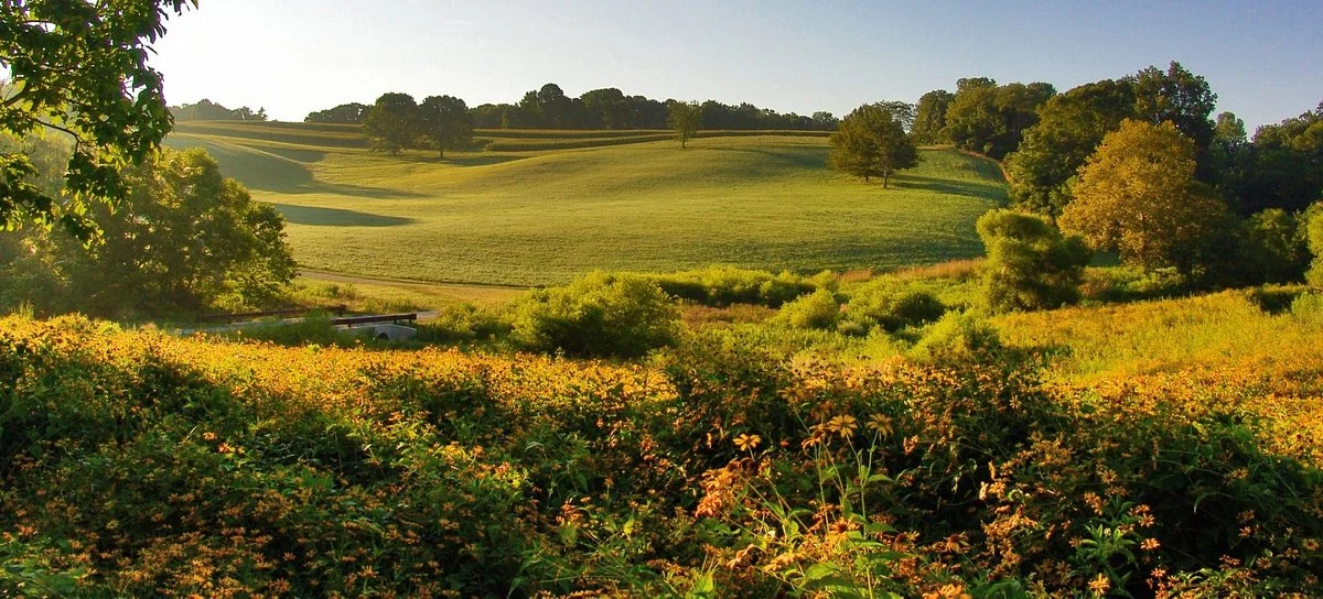 Stroud Preserve