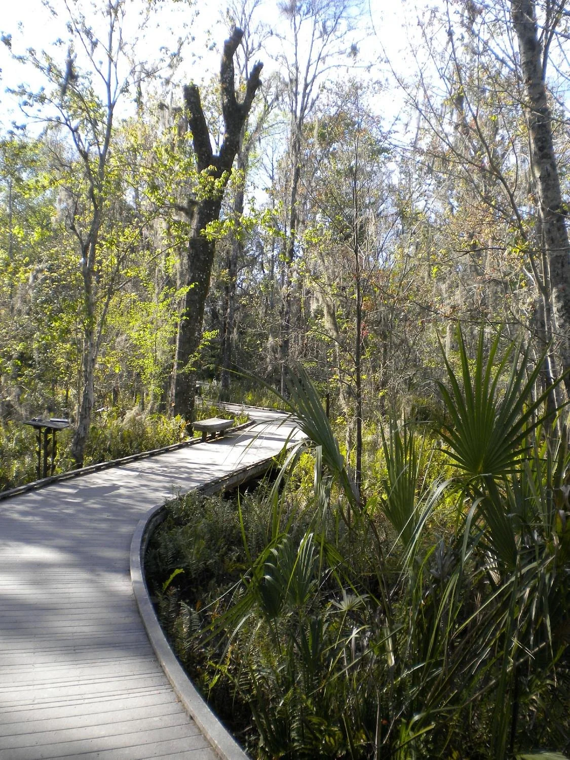 Brooker Creek Preserve
