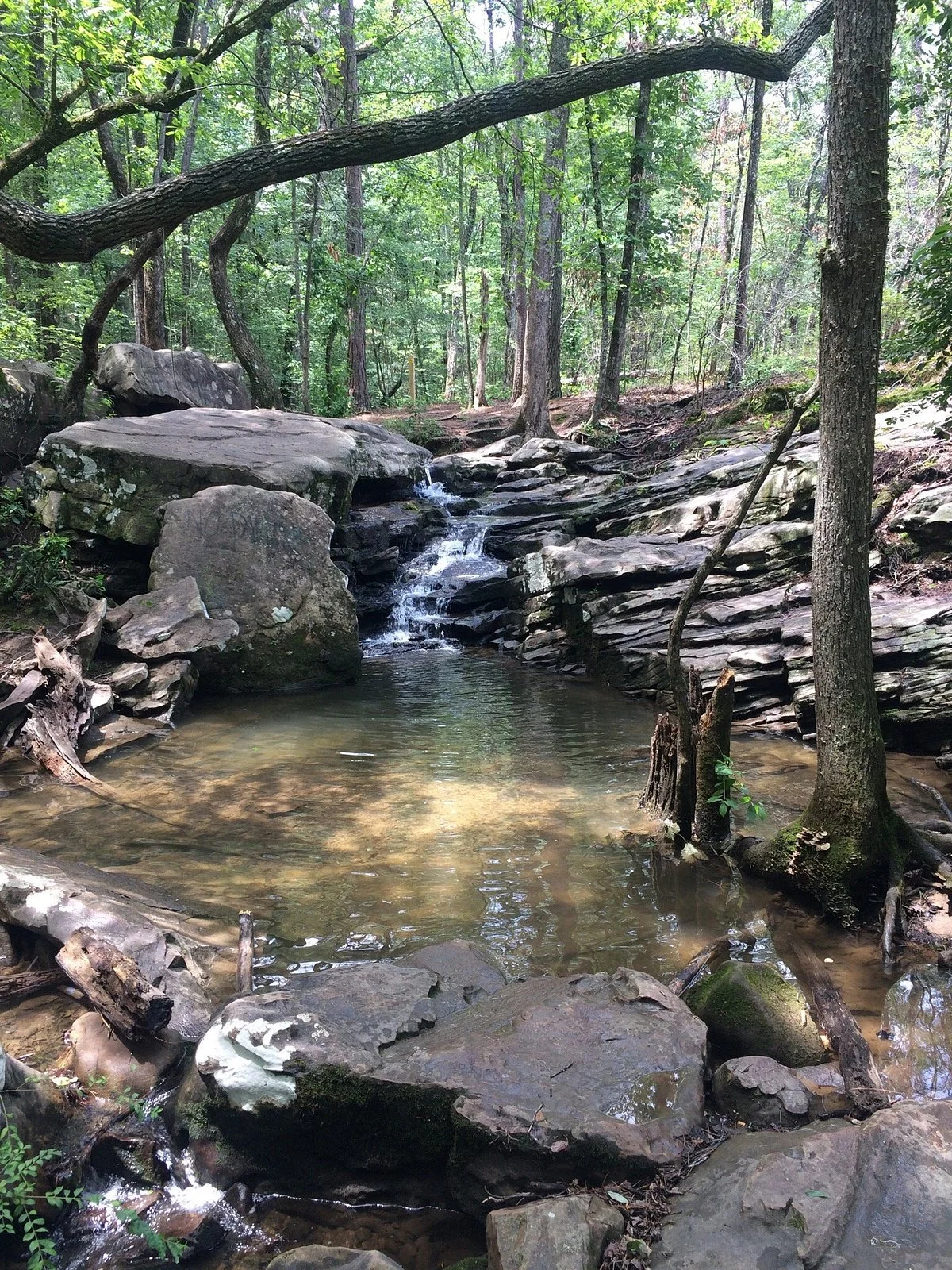 Moss Rock Preserve & Waterfalls
