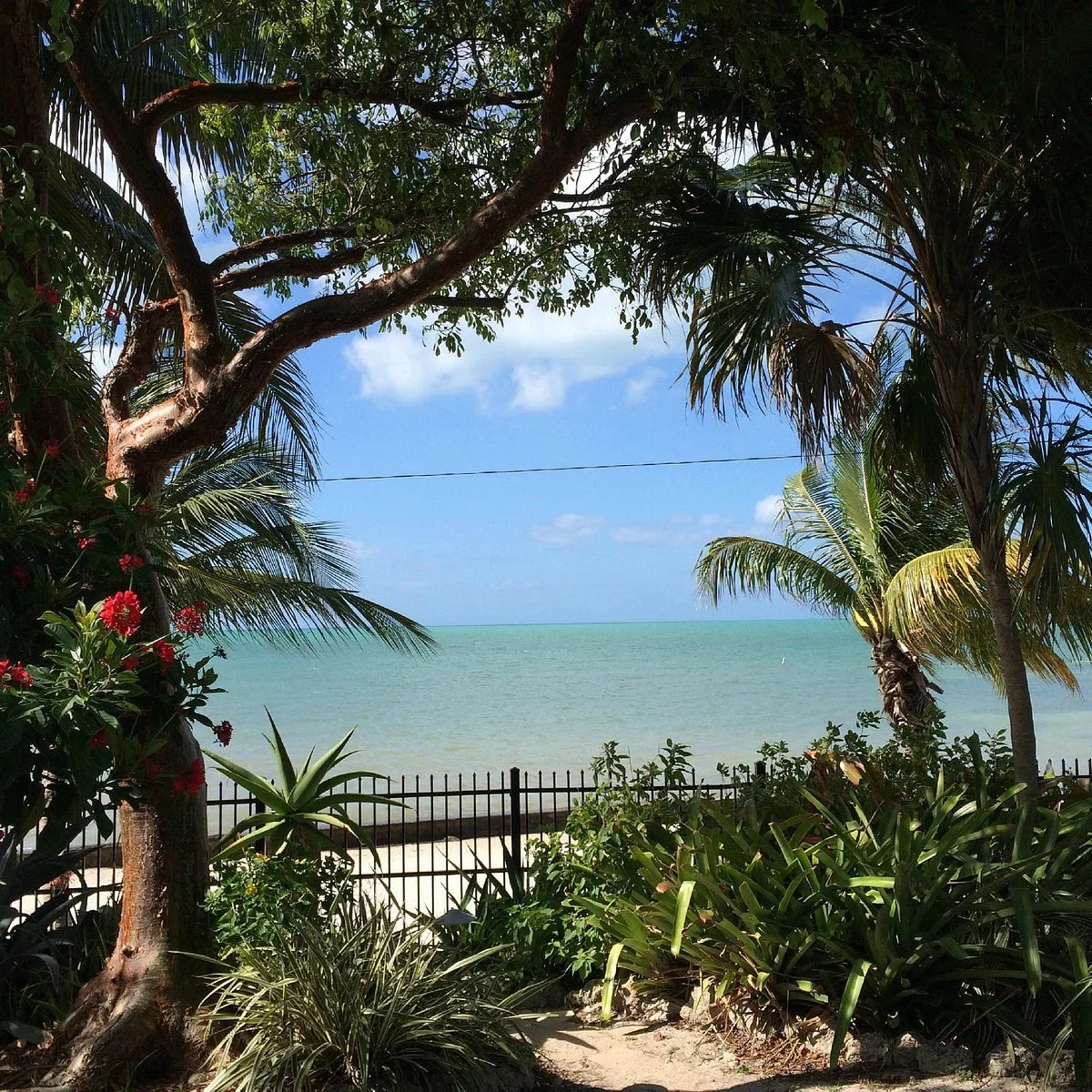 Key West Garden Club