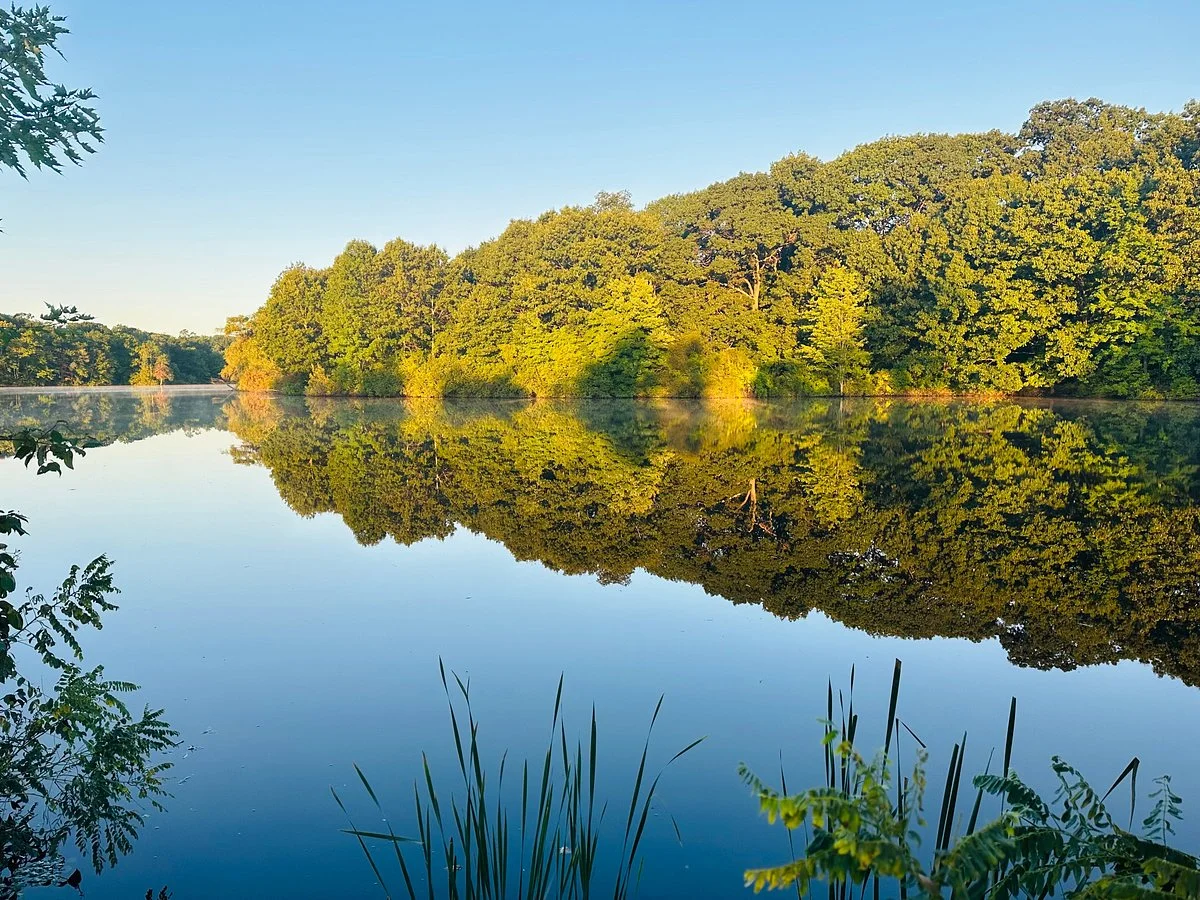 Horn Pond